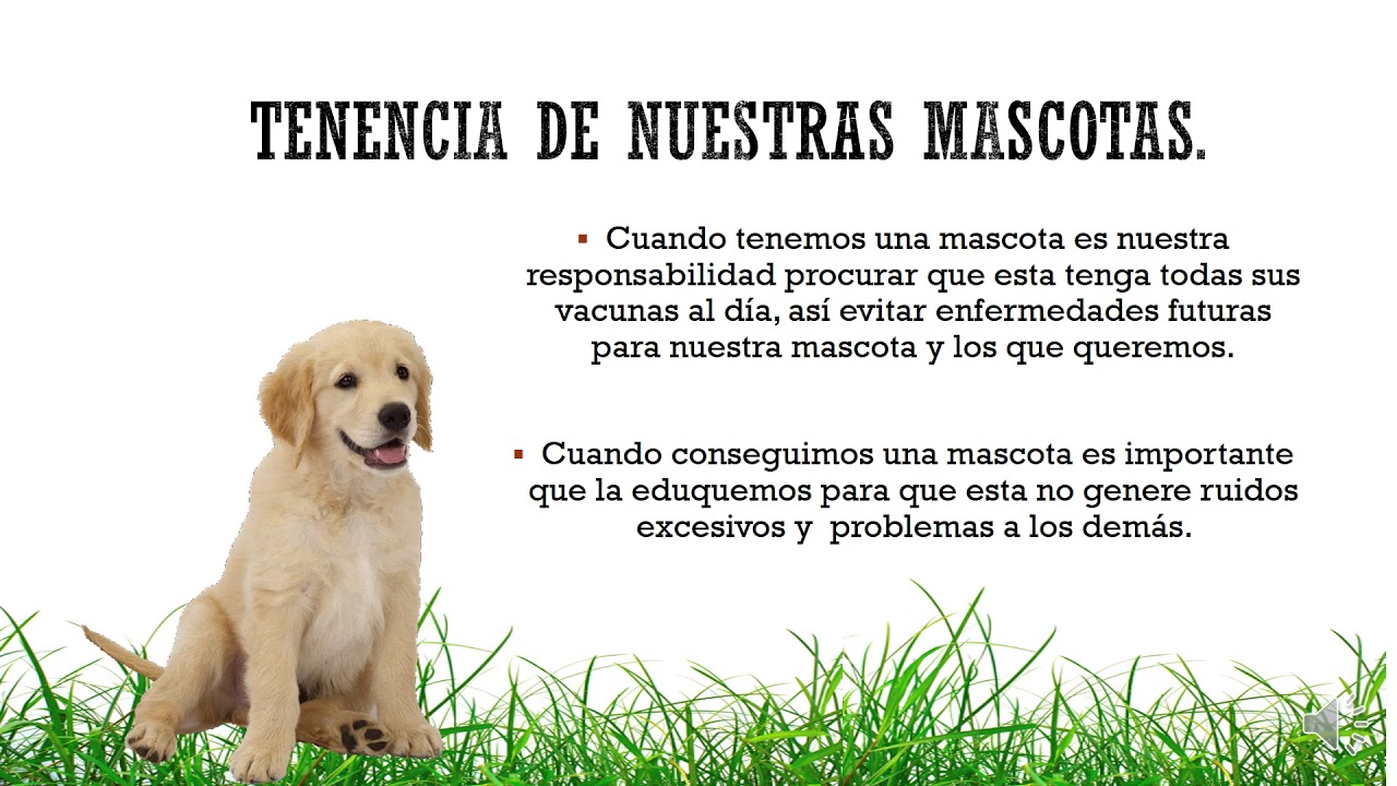 Política de mascotas